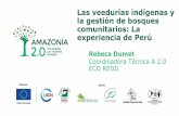 Las veedurías indígenas y la gestión de bosques Rebeca Dumet … · 2020. 7. 3. · Coordinadora Técnica A 2.0 ECO REDD. Escenario de intervención 3 millones ha bosques 65% población