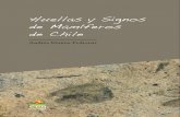 Huellas y Signos de Mamíferos de Chileceachile.cl/enlaces_web/libro_huellas_demo.pdf · En la Región de Coquimbo han sido utilizadas con éxito por Jiménez (1989), quien en 345