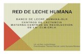 RED DE LECHE HUMANA - SAP · 2016. 1. 28. · RED DE LECHE HUMANA BANCO DE LECHE HUMANA-BLH CENTROS DE LACTANCIA MATERNA/CENTROS DE RECOLECCIÓN DE LH- CLM/CRLH Lic. en Nut. Lucía