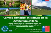 Cambio climático, iniciativas en la Agricultura chilena · 2016. 9. 21. · Plan Nacional de Adaptación Silvoagropecuario . Medidas 1 y 2 • Fortalecer la planificación y gestión