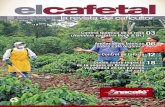 Web Revista 13 El Cafetal (2 Cuatri) Anacafe 14 · 1. No etEtuar aswsiones de turtqüdas wa el control de roya en éw:a seca. debão a we en ese indices de la roya. como muesran resunad%