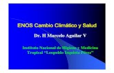 ENOS Cambio Climático y Salud - ORAS - CONHU y Salud... · 2017. 5. 5. · ENOS Area Andina zEl ENOS constituye uno de los fenómenos naturales que causa mayores impactos en la región