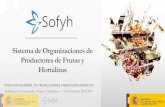 Sistema de Organizaciones de Productores de Frutas y ......VENTAJAS DE SOFYH (I) Subdirección General de Frutas y Hortalizas MAS FÁCIL E INTUITIVA: •SOFYH es una aplicación víaWeb,