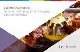 Experto Universitario Nutrición y Alimentación en Avicultura para ...€¦ · nutrición y alimentación de las principales especies de aves destinadas a la producción de proteína