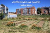 Huerta Comunitaria Capiscol C/Villafranca -Burgos-...Huerta Comunitaria Capiscol C/Villafranca -Burgos- Nace en el 2012, en contexto sociopolítico de los años 2011/12 Crisis económica:
