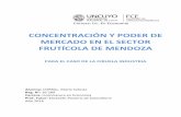 CONCENTRACIÓN Y PODER DE MERCADO EN EL SECTOR FRUTÍCOLA DE MENDOZA · 2017. 11. 29. · 4 I. INTRODUCCIÓN 1) TEMA A ABORDAR El tema de este trabajo de investigación es estudiar