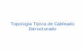 Topología Típica de Cableado Estructurado...Topología de Cableado Estructurado El “Canal” ha sido definido en la 568-B.1 El canal con 4 conectores en el peor caso contiene: