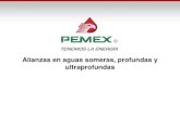 Alianzas en aguas someras, profundas y ultraprofundas...7 Trión es la primer alianza de Pemex en aguas profundas, la cual fue formalizada el 3 de marzo pasado con una inversión total