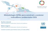 Metodología CEPAL para construir y sostener indicadores ...Tegucigalpa, Honduras 9-13 de marzo 2020 Metodología CEPAL para construir y sostener indicadores ambientales ODS Pauline