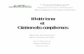 Université de Rouen - Illettrissme et Gestioon des compétencesshs-app.univ-rouen.fr/civiic/memoires_masterICF/textes/T... · 2010. 1. 18. · Université de Rouen Master Ingénierie