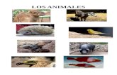 LOS ANIMALES - WordPress.com...Los animales invertebrados no tienen esqueleto interno y todos son ovíparos, es decir, nacen de huevos. Se clasifican en esponjas, medusas, gusanos,