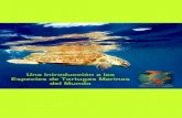 Una Introducción a las Especies de Tortugas Marinas del Mundo · 2012. 1. 13. · Las tortugas marinas: criaturas prehistóricas Las tortugas marinas habitan la Tierra desde hace