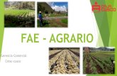 FAE - AGRARIOmunianta.gob.pe/wp-content/uploads/2020/10/FAE-AGROPECUA... · 2020. 10. 19. · Condiciones Crédito FAE Agrario Crédito destinado para capital de trabajo para ser