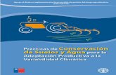 Prácticas de conservación de suelos y agua para la adaptación … · 2021. 2. 8. · Prácticas de Conservación de Suelos y Agua para la Adaptación Productiva a la Variabilidad