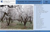 QUADRE DE COMANDAMENT 44 - OBEALIMENTÀRIA...Col.legi d'Economistes de Catalunya - Observatori de l'Economia Agroalimentària –Desembre 2020 19 13-SACRIFICI DE BESTIAR A CATALUNYA