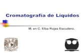 Cromatografía de Líquidos - UNAMdepa.fquim.unam.mx/amyd//archivero/CL-Introduccion_36841.pdf · E. al final de la columna. Requisitos de la muestra Presión de vapor baja Compuestos