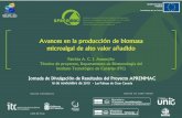 MEJORA DE LA CALIDAD DE LAS AGUAS RECREATIVAS Y …aprenmac.itccanarias.org/files/ponenciasJornadaR/Sesin_4... · 2015. 12. 3. · Avances en la producción de biomasa microalgal