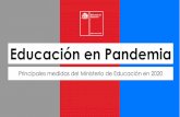 Educación en Pandemia · 2021. 1. 5. · agrupados en Anatel y Arcatel, en conjunto con el Consejo Nacional de Televisión y el Ministerio de Educación, llegaron a un acuerdo para