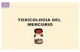 TOXICOLOGÍA DEL MERCURIO · 2014. 11. 3. · • es uno de los principales contaminantes • se vierte a las aguas de rios y mares – bioconcentraciÓn 70*106 t hg en sedimentos