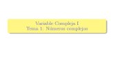 Variable Compleja I - Tema 1: Números complejosrpaya/documentos/VariableCompleja/2016-17/P... · 2016. 9. 22. · Tema 1: Nume´ ros complejos. El cuerpo de los numeros´ complejos