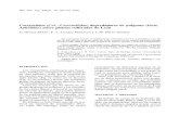 Coccinélidos (Col.: Coccinellidae) depredadores de pulgones … · 2013. 11. 9. · dos de los cultivos de la provincia de León, a partir de un estudio realizado durante los años