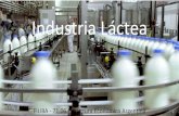 Industria Lácteamaterias.fi.uba.ar/7106/Resumen/lactea.pdf · 2017. 6. 17. · Para tener una potente industria lechera, el Estado deberá enfocarse en mantener controlados los costos