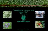 “Reguladores del crecimiento de las...Hormonas vegetales: Son pequeñas moléculas químicas que afectan al desarrollo y crecimiento de los vegetales a muy bajas concentraciones.