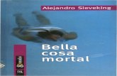 Alejandro Sieveking - Memoria Chilena: Portal · 2011. 12. 19. · ALEJANDRO SIEVEKING Los muchachos que navegan en windsurf parecen ángeles despegados de este mundo, vuelan sobre
