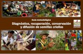 Guía metodológica Diagnóstico, recuperación, conservación y ......Guía metodológica para el diagnóstico, recuperación, conservación y difusión de semillas criollas. o Grupo