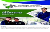 T.S.U. MECATRÓNICA · 2020. 9. 13. · Universidad Tecnológica del Sur del Estado de México OBJETIVO: Formar Técnicos Superiores Universitarios en Mecatrónica Área Sistemas