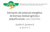 Estimación del potencial energético de biomasa residual agrícola … · 2020. 3. 28. · de biomasa residual agrícola a pequeña escala: caso Colombia Quelbis R. Quintero B. Ing.