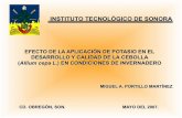 I INTRODUCCIÓN - ITSONbiblioteca.itson.mx/dac_new/tesis/396_portillo_miguel.pdf · 2012. 10. 19. · El tallo es rudimentario y pequeño, ya que alcanza solo unos milímetros de