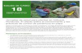 Estudio de CASO 18 - CABI.org · Estudio de CASO 18 Jornadas de salud para plantas en Intibucá, Honduras: El efecto sobre el conocimiento y las prácticas de control de paratrioza