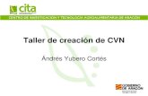 Taller de creación de CVN - COnnecting REpositories · 2017. 2. 11. · Taller de creación de CVN Ándrés Yubero Cortés ... en el Sistema Español de Ciencia y Tecnología •