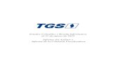 TGS - Estados Contables y Reseña Informativa al 31 de marzo de … contables/2012... · 2020. 1. 8. · 1 TRANSPORTADORA DE GAS DEL SUR S.A. (“TGS” o “la Soc iedad”) Don