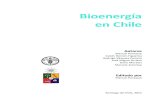 Bioenergía en Chilede la calidad de vida a las comunidades. En el libro “Bioenergía en Chile” presentado por la Universidad de Chile y la Organización de las Naciones Unidas