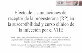 Efecto de las mutaciones del receptor de la progesterona (RP ......Efecto de las mutaciones del receptor de la progesterona (RP) en la susceptibilidad y curso clínico de la infección