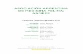 AsociAción ArgentinA de MedicinA FelinA: AAMeFe · 5. Relación entre las endocrinopatías felinas y la alta incidencia de la insuficiencia renal crónica ENFERMEDAD MICÓTICA 6.