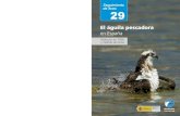 perdicera - SEO Birdlife - Sociedad Española de Ornitología2012/04/29  · 4 El águila pescadora en España PRÓLOGO Enelaño1978visitéporprimeravezelCaboSãoVicente,enelextremosudoeste