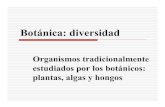 Organismos tradicionalmente estudiados por los botánicos ...dkolterman/biol3435/Caps17-19.pdfBotánica: diversidad (Ap. C) Código internacional de nomenclatura botánica (2006) Algas