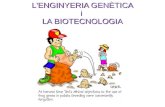 L'ENGINYERIA GENÈTICA i LA BIOTECNOLOGIAcosmolinux.no-ip.org/recursos_aula/BIO1erBAT/Enginyeria...L'enginyeria genètica i la biotecnologia: aplicacions 1. Obtenció de la proteïna