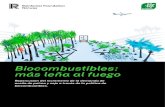Biocombustibles: más leña al fuego · 4 BIOCOMBUSTIBLES: MÁS LEÑA AL FUEGO Resumen El mundo está sumido en una crisis dual climática y de pérdida de biodiversidad. Está demostrado