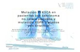 Mutación PIK3CA en pacientes con carcinoma no célula ppq ...€¦ · Mutación PIK3CA en pacientes con carcinoma no célula ppq yequeña y mutación EGFR tratados con Erlotinib