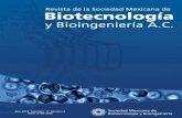 BioTecnología, Año 2013, Vol. 17 No. 2 Año 2013 Volúmen 17 ...€¦ · BioTecnología, Año 2013, Vol. 17 No. 2 4 EDITORIAL Bionanotecnología y Nanobiotecnología Desde hace
