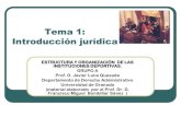 Tema 1: Introducción jurídica - WordPress.com… · 2012. 1. 29. · Tema 1: Introducción jurídica ESTRUCTURA Y ORGANIZACIÓN DE LAS INSTITUCIONES DEPORTIVAS. GRUPO A Prof. D.