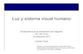 Luz y sistema visual humano - PixInsightpteam.pixinsight.com/carlos/C_Cap1.pdfLuz y sistema visual humano Fundamentos de procesamiento de imágenes IIC / IEE 3713 1er semestre 2011