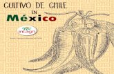 615. Cultivo de chile en México - Intagri. Cultivo de Chile... · 2020. 6. 30. · México cuenta con una gran variedad de chiles; los de mayor importancia económica, según el