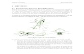 2.1 Fundamentos del vuelo de un helicópterobibing.us.es/proyectos/abreproy/70354/fichero... · Figura 8: Plataforma de entrenamiento ubicada en la azotea del L1 2.2.1.3 Servomotores