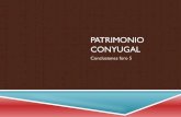 PATRIMONIO CONYUGAL - WordPress.com · 2018. 8. 27. · liquidación del patrimonio conyugal, ya que ésta se practica al quedar firme la sentencia de divorcio o separación o nulidad