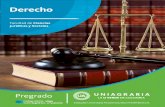 BROCHURE-DERECHO-web - Uniagraria · Derecho Procesal Administrativo Sostenibilidad e Impacto Ambiental Derecho Laboral ... Fundamentos Estructurales del Derecho Expresión Oral y